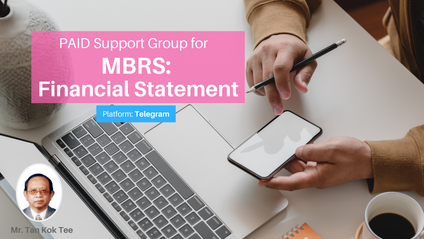 Product image for (English) Paid Support Group for MBRS : Financial Statement by Tan Kok Tee