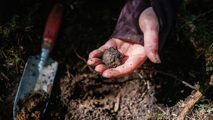 Product image for Truffle Hunting with Dogs: Full Course