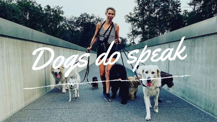 Product image for Online Cursus: Dogs do speak
