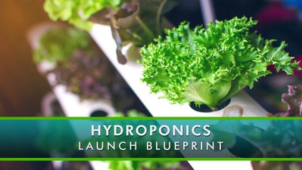 Product image for HYDROPONICS LAUNCH BLUEPRINT