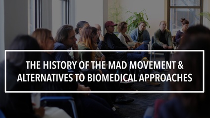 Product image for The History of the Mad Movement & Alternatives to Biomedical Approaches