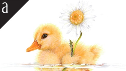 Product image for Daisy Duckling