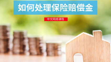 Product image for (中文) 如何处理保险赔偿金