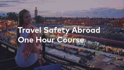 Product image for Travel Safety Abroad