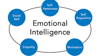 Product image for Emotional Intelligence Skills