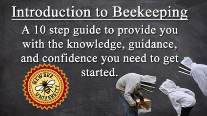 Product image for Introduction to Beekeeping Course