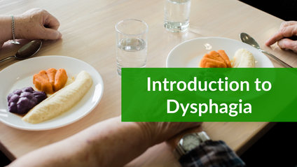 Product image for Introduction to Dysphagia (Swallowing Difficulties)
