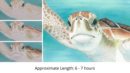 Product image for Sea Turtle in Watercolor