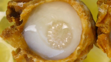 Product image for Super Food Spotlight Unit 2