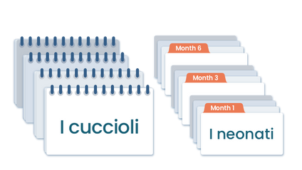 Product image for Doman Method Digital Reading Materials in Italian