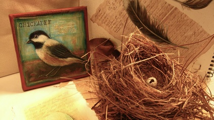 Product image for Paint Birds, Eggs, Feathers & Nests