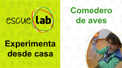 Product image for Comedero de aves