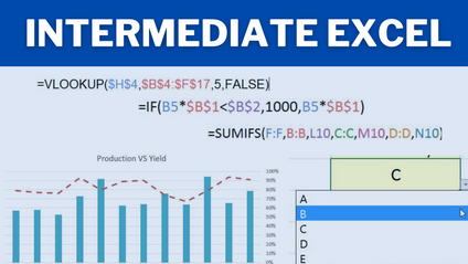 Product image for INTERMEDIATE EXCEL