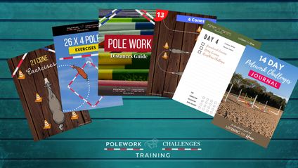 Product image for Arena Pole Exercises PRO by Grey Pony Films  (with 36 months access)