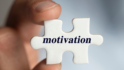Product image for Motivation 101