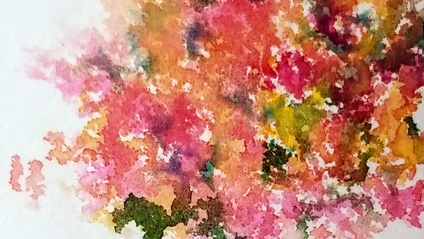 Product image for Time for Spritz! Flowers