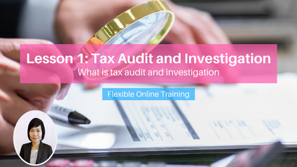 Product image for (English) Lesson 1: Tax Audit and Investigation - What is tax audit and investigation by Ho Yi Hui (Hanz Consulting Group)
