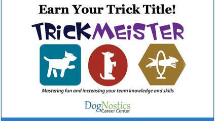 Product image for TrickMeister Titles