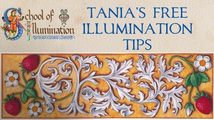 Product image for Tania's free illumination tips