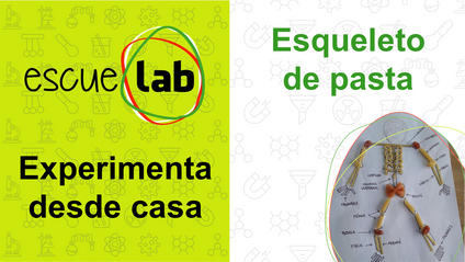Product image for Esqueleto de pasta