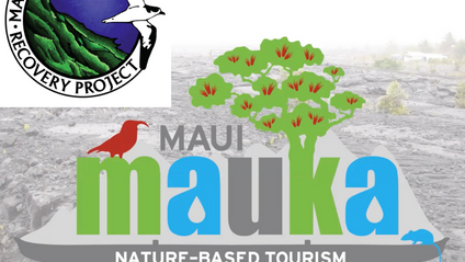 Product image for Maui Mauka Conservation Awareness Training ~ Maui Nui Seabird Recovery Project