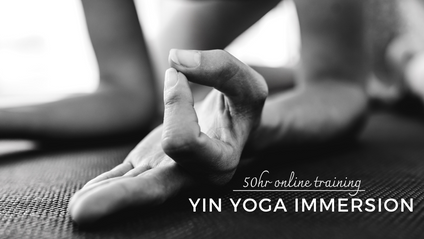 Product image for Yin Yoga Immersion