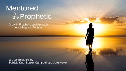 Product image for Mentored in the Prophetic