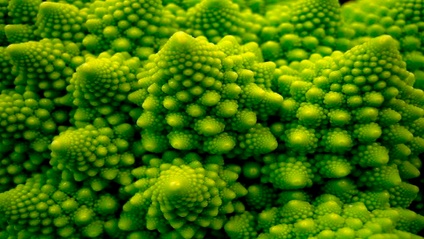 Product image for Using Fractals to Determine a Reservoir’s Hydrocarbon Distribution