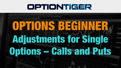 Product image for Single Option Adjustments