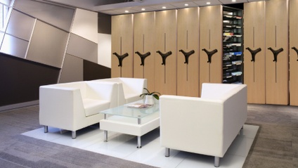 Product image for Storage Planning in Today's Changing Workspace