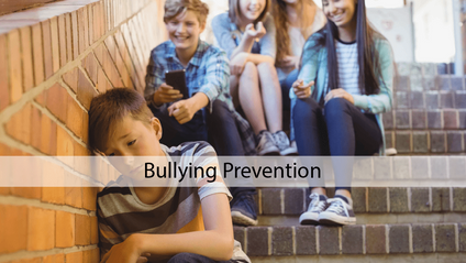 Product image for Bullying Compliance & Prevention