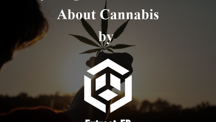 Product image for Everything You Need to Know About Cannabis