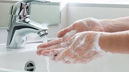Product image for Basic Hygiene For Carpet Cleaners (Free Course!)