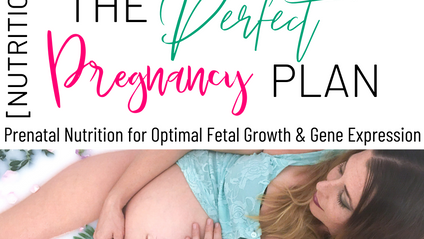 Product image for The Perfect Pregnancy [Nutrition] Plan