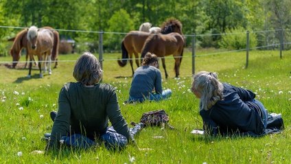 Product image for EATIC - Equine Assisted Trauma Informed Care | Level 1:1 | The Fundamentals