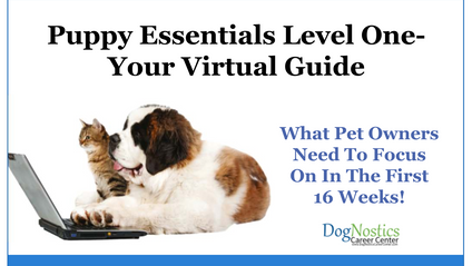 Product image for Puppy Essentials - Level 1 Your Virtual & In-Person Guide To Early Socialization & Development