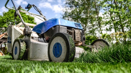 Product image for How to Grow and Maintain a Beautiful Lawn (141min)