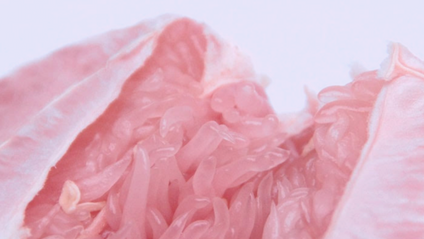 Product image for Psychological Treatment for Pornography Addiction