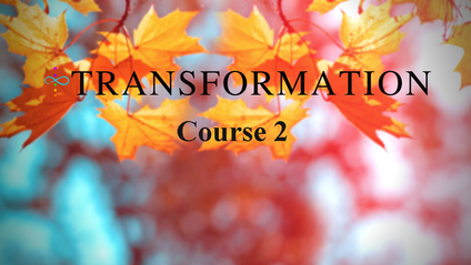 Product image for The BEING Zone System Course Transformation