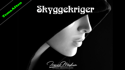 Product image for Skyggekriger