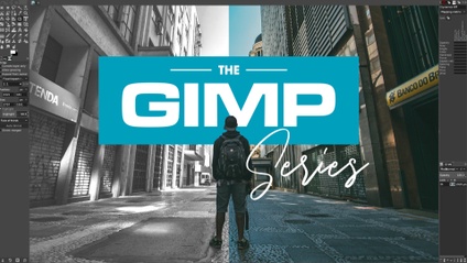 Product image for The GIMP Series