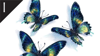 Product image for Butterfly Shadows