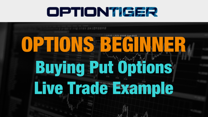 Product image for Buying Put Options - Live Trade example