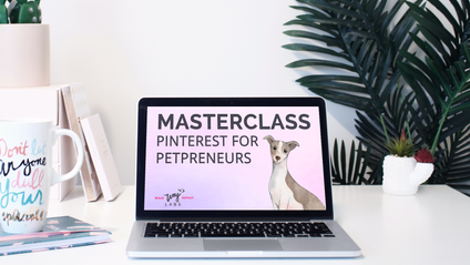 Product image for Masterclass: Pinterest for Petpreneurs