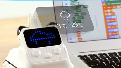Product image for Codey Rocky: Weather Reporter Panda (Advanced) (Gr. 6-8)