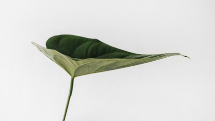Product image for Sustainability for Tourism Businesses
