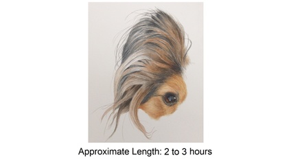Product image for Long-Haired Papillon Dog in Watercolor