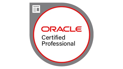 Product image for Oracle Database 11g:Program