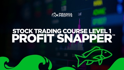 Product image for Stock Trading Course Level 1: Profit Snapper™