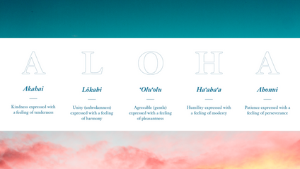 Product image for Hawaiian Cultural Training